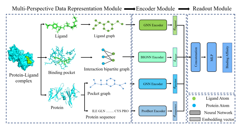 HaPPy: harnessing the wisdom from multi-perspective graphs for protein-ligand binding affinity prediction (student abstract)